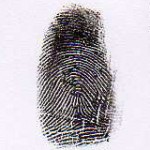 tented arch fingerprint